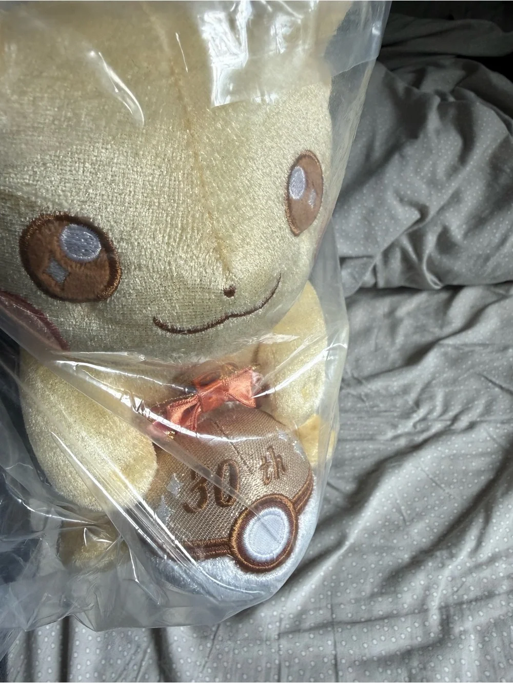 Pokemon 30th Anniversary Pikachu Plush